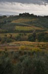 Mattina autunnale nei dintorni di San Gimignano
Data 31/10/2010
Nikon D90 - 16.0-85.0 mm f/3.5-5.6
Esposizione Priorit tempi
1/40 sec
f/5.6
ISO 200
lunghezza focale 50,0 mm
Suggerimenti e critiche molto molto graditi
Alessandro