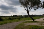 f/5,6 1:125 Iso 100
