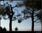 Scattata al parco europa.