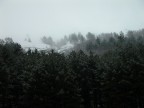 Abeti innevati