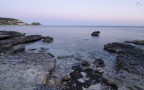 Calamosca