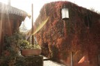 Controluce