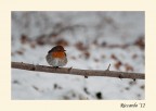 1/500sec, f5,6, 70-300@300mm, ISO 200, crop.

Alla prossima!