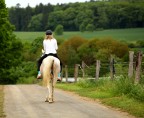 verso il ranch .
