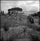 Paestum - sullo sfondo il tempio di Cerere
5 maggio 2012

Scansione da negativo Kodak Tmax 100
Hasselblad 503CX con Zeiss Sonnar 50 mm