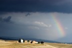 Una foto di qualche anno fa. Zona: Toscana.