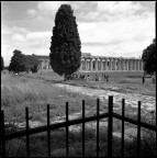 Scansione da negativo Kodak Tmax 100
Hasselblad 503CX con Zeiss Sonnar 50 mm

Paestum: il tempio di Nettuno
Maggio 2012