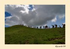 1/1250, f7,1, ISO 400(mi sono scappati...) , 12-24mm@12mm.

Alla prossima!