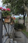 Fuji X-Pro1 + Xf 35mm F 1.4 
F-Stop : F 9  
Tempo E : 1/240 Sec
Iso : 800
EV : - 0.7

Secondo Voi come scatto e bello o brutto , mi piace molto la fotografia , ma e da 4 anni ormai che fotografo eppure fantasia e inventiva Zero !
Ditemi la vostra su questo scatto