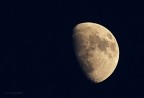 Luna... ci riprovo