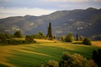 colline mugellane