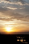 Florence sunset