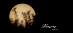 Venere
