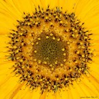 Esplosione di luce