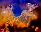 Sony A580 - 100 iso  - 180 macro sigma