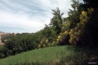 f/8 1:125 Iso 100