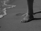 Piedi