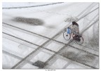 Inverno... ma la spesa s'ha da fare...