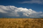 E dopo il temporale, le nuvole se ne vanno ed un raggio di sole torna ad illuminare una distesa dorata di grano...

canon eos40d - canon 18-55
ISO: 100
AV: f11
TV: 1/160
Compensazione ev: -1