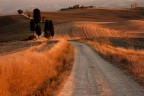 La strada