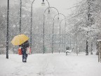 Spesa invernale