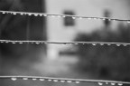 Fatta un po' di tempo fa, quindi non ricordo i dati...
Nikond3100 :)