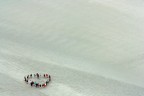 Un gruppo di ragazzi nelle zone salmastri attorno a Mont Saint Michel.

Canon 450D + Canon 85 f/1.8
f/9, 1/125s, Iso 100, Av

Commenti e critiche ben accetti!