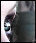 keeping an eye on you....