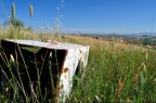 18mm 
iso 200 1/400 f/11