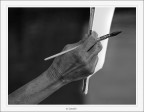 i disegni del tempo