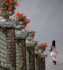 fiori rossi x te!