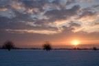 bassa padana