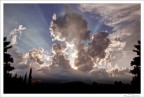 Rays
