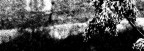 ritratto di ramo
[i]carboncino su carta ruvida[/i]
risoluxione originale 2272x806
adobe photoshop + Konica Minolta Z3


bip