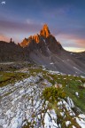Red Passion, cresta Paterno