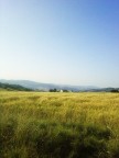 Ero a fare una passeggiata in campagna insieme al mio cagnolone e all'improvviso mi guardo bene attorno e tutto sembrava identico alla pubblicit della mulino bianco, un paesaggio da lasciare a bocca aperta! ^_^