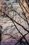 Action painting...