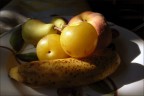 Luce