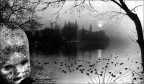 Presenze sul lago