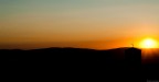 f11 
iso 320
1/500
50mm 1.8 D