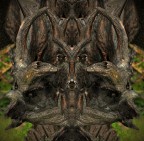 Demoni pareidolie 2012