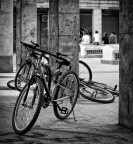 Ladri di Biciclette
