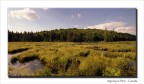 Algonquin Park - CANADA
