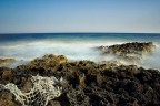 l'aspra Lampedusa