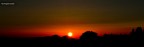 D3100+18-55mm
1/1000 f/8 ISO 100 mano libera
