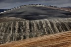 Il Dinosauro