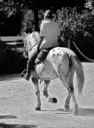 Al trotto - PRIMI SCATTI FULL FRAME