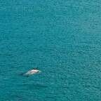 gente di mare #3