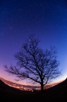 stelle a occhio di pesce
