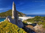 Sardegna
Olympus E-510 with Zuiko 9-18mm a 9mm
1/60 sec, f10

Domande, commenti, suggerimenti e critiche sono ben accetti